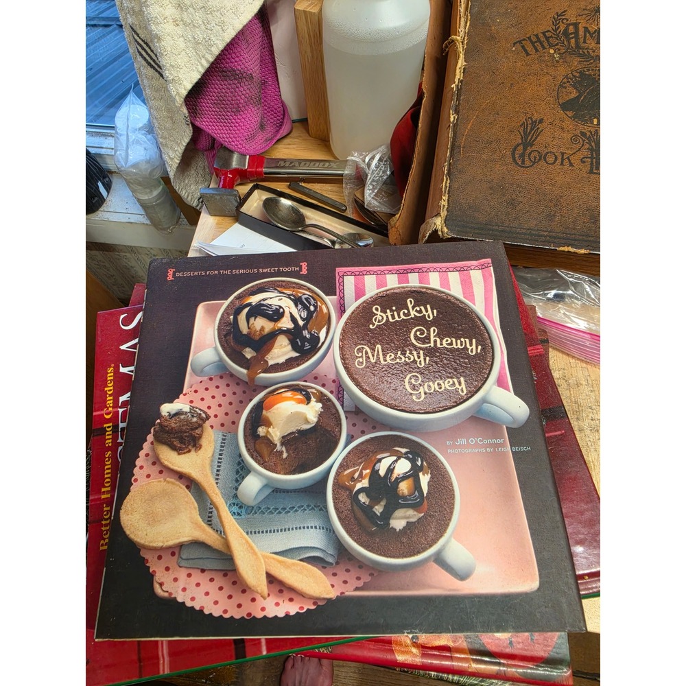 Sticky Chewy Messy Gooey Desserts Jill O'Connor Hardcover Cookbook 2007